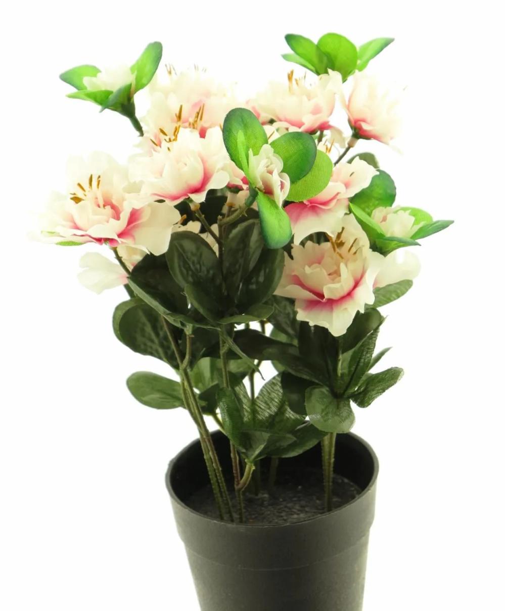 Azalea | Artificial Azalea Jingshu, Cream-Pink, 10"/25Cm Artificial Flowers Azalea