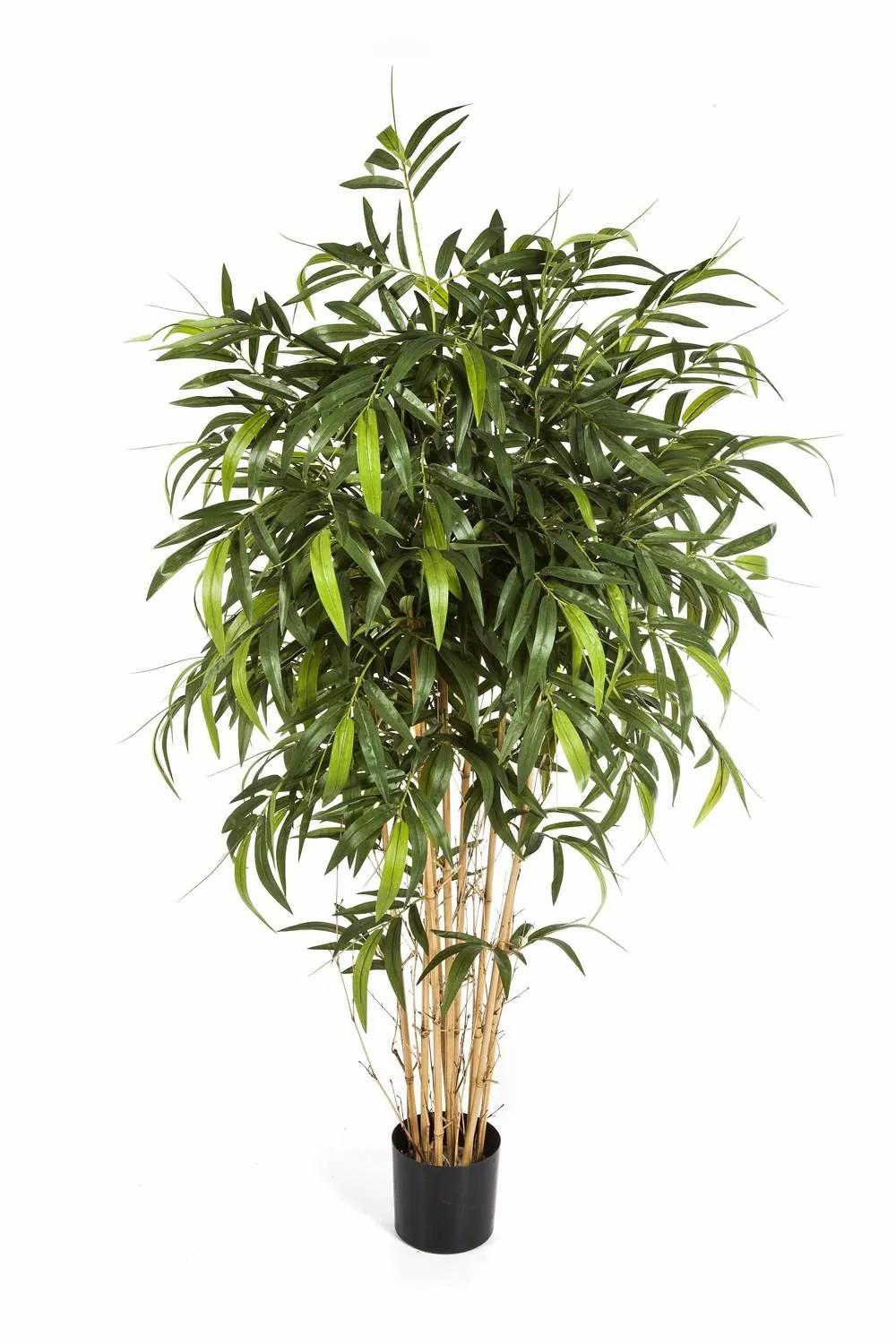 Bamboo | Artificial Bamboo Katsumi, Natural Stems, Green, 5Ft/150Cm Artificial Trees Bamboo