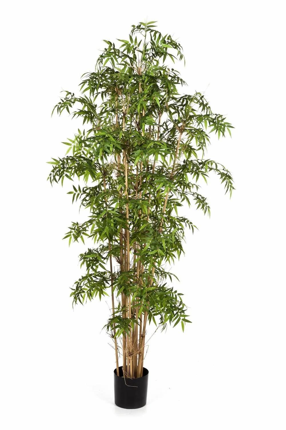 Bamboo | Fake Arrow Bamboo Kaito, Natural Stems, Green, 7Ft/200Cm Artificial Trees Bamboo