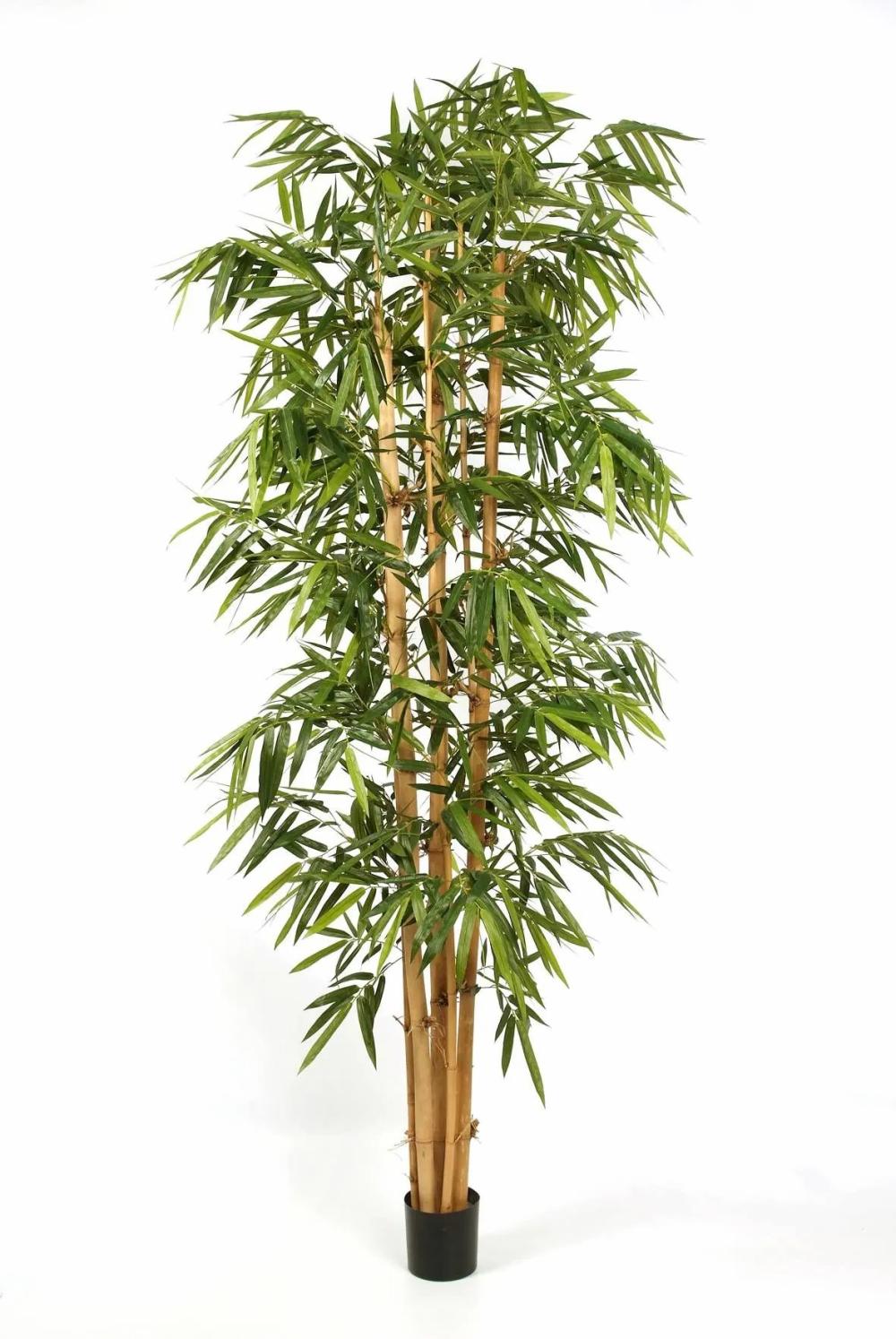 Bamboo | Fake Bamboo Tree Kiyoshi, Real Bamboo Canes, Green, 10Ft/300Cm Artificial Trees Bamboo