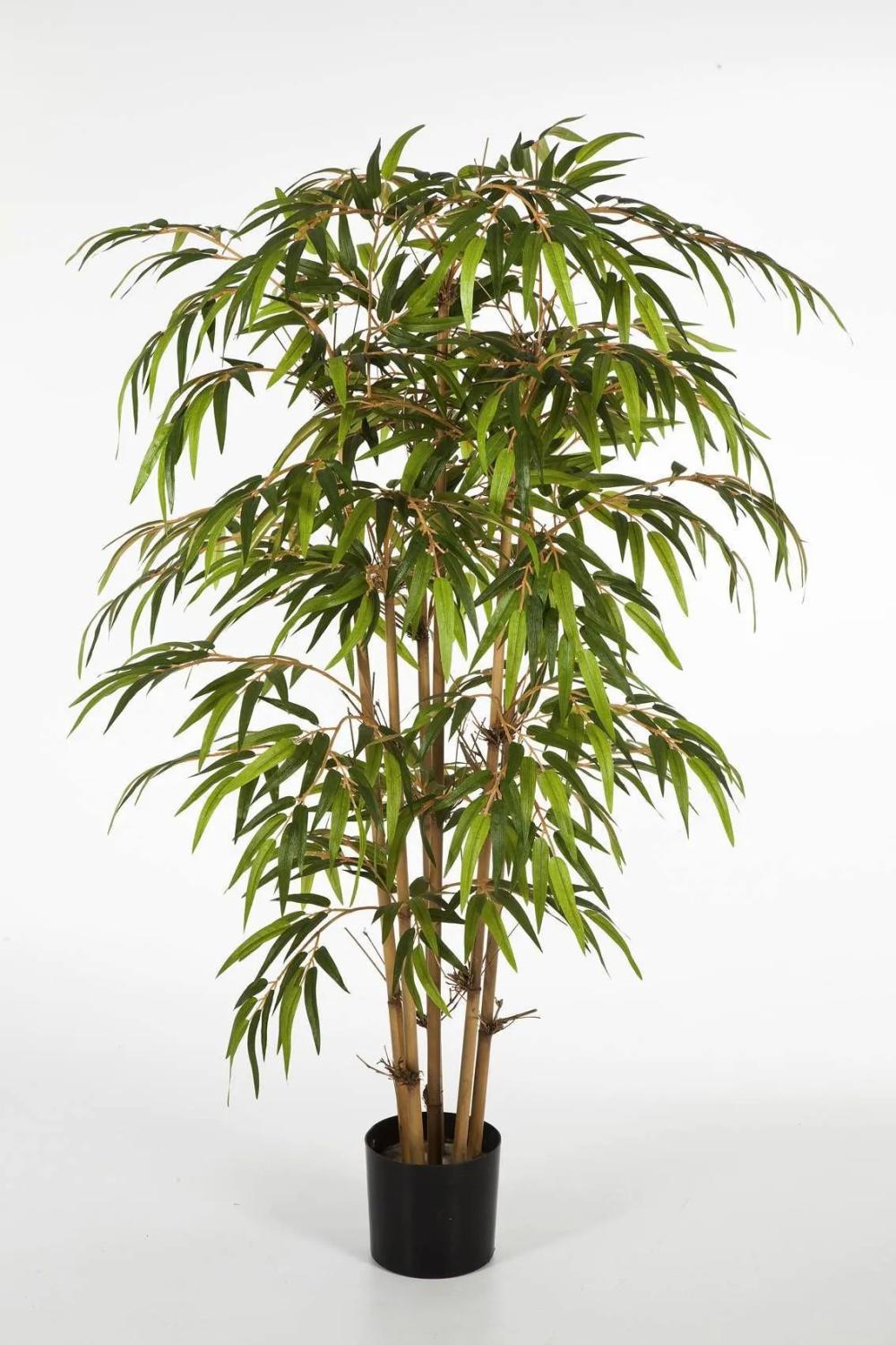 Bamboo | Plastic Bamboo Plant Hiroshi, Natural Bamboo Canes, Green, 4Ft/120Cm Artificial Trees Bamboo