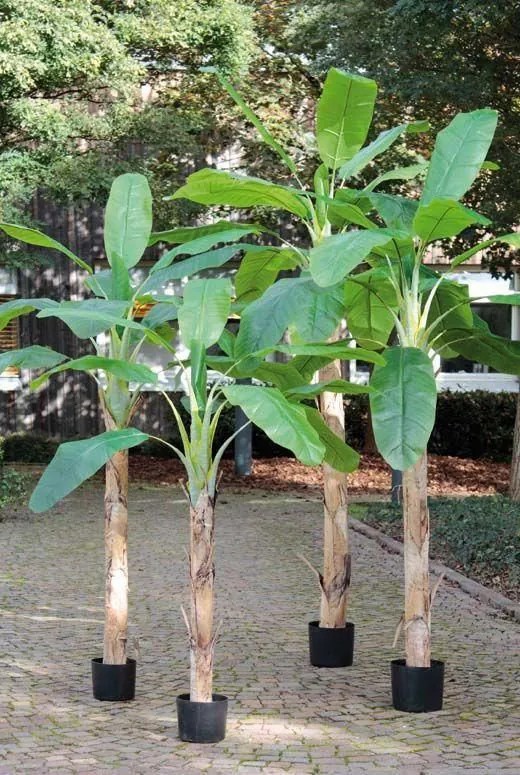 Banana palm | Artificial Palm Banana Tree Shara, 10Ft/300Cm Artificial Palms Banana palm