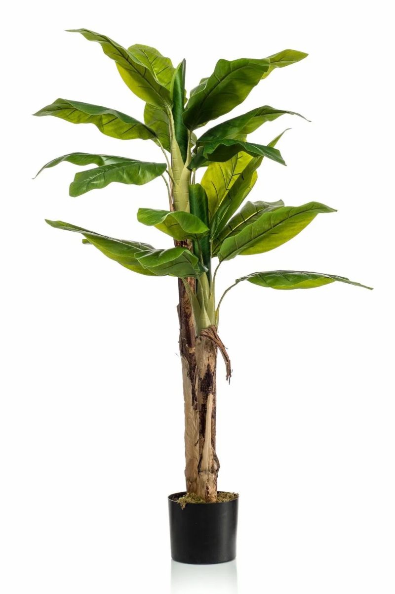 Banana palm | Fake Banana Tree Duo Entrin, 5Ft/140Cm Artificial Palms Banana palm