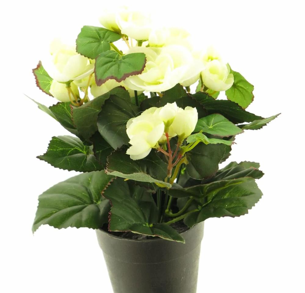 Begonia | Artificial Begonia Hetian, Cream, 10"/25Cm Artificial Flowers Begonia