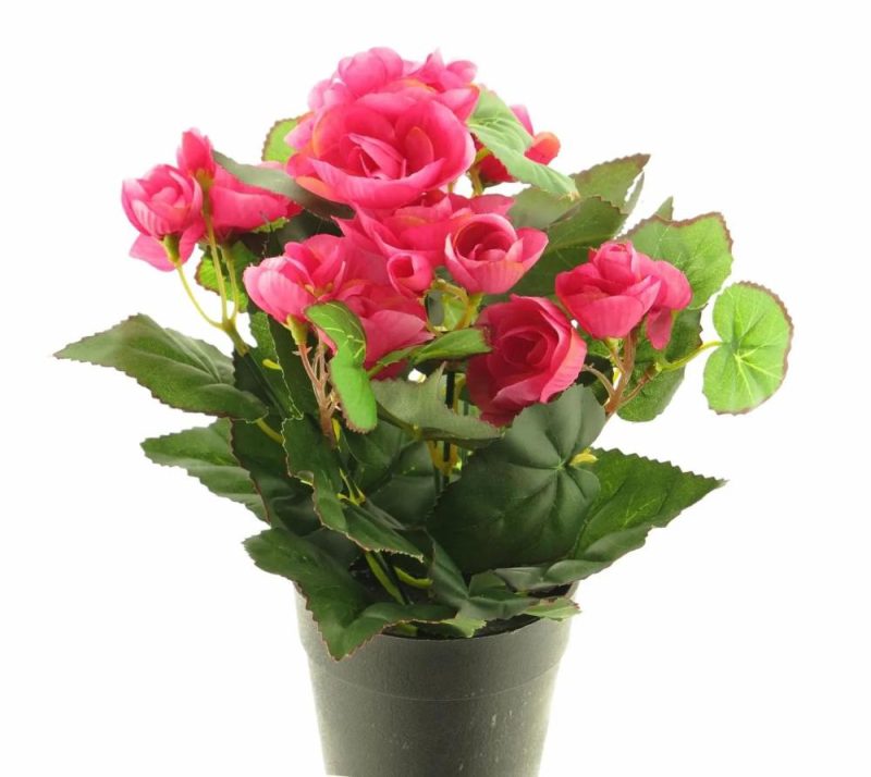 Begonia | Artificial Begonia Hetian, Pink, 10"/25Cm Artificial Flowers Begonia