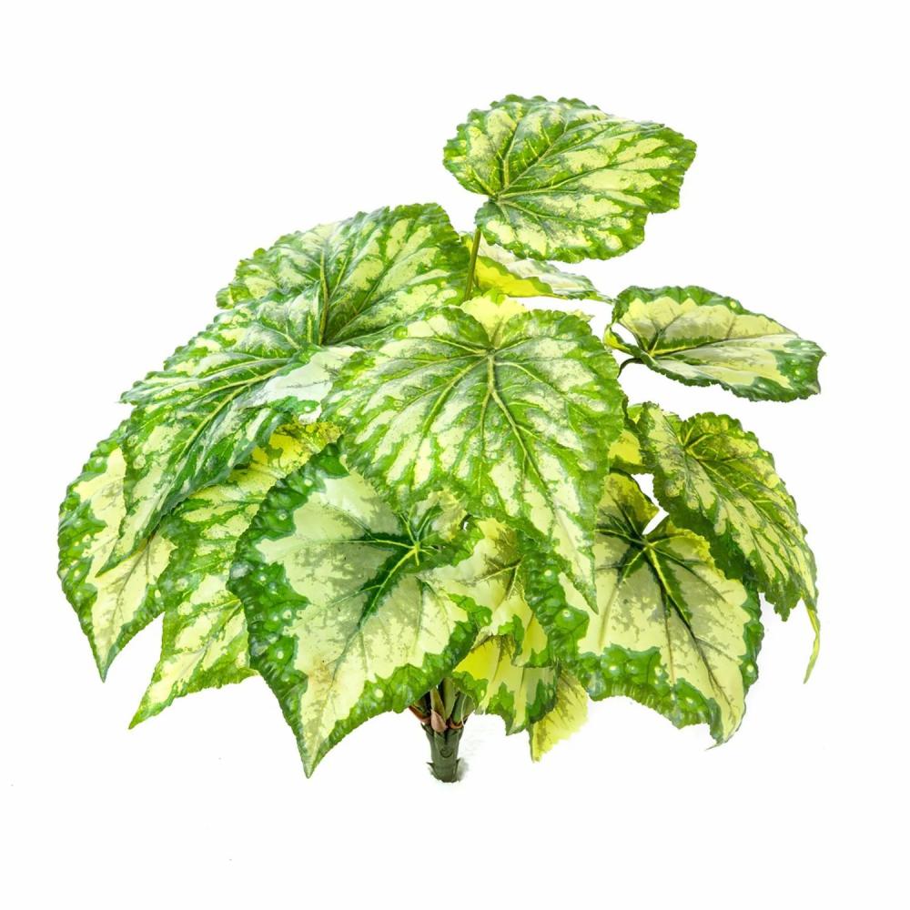 Begonia rex | Artificial Begonia Rex Beven On Spike, Green-Yellow, 14"/35Cm Artificial Plants Begonia rex