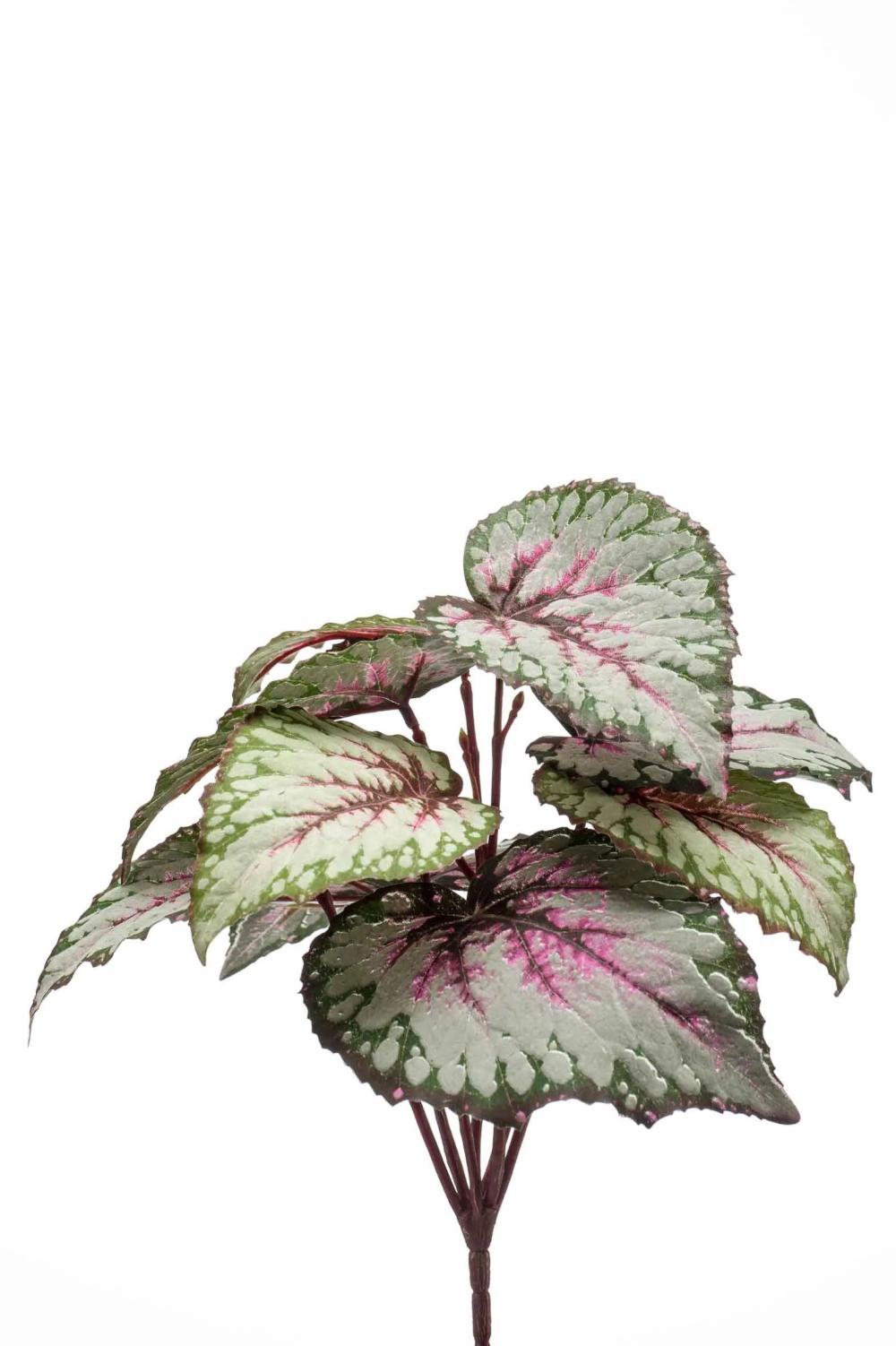 Begonia rex | Artificial Begonia Rex Meira On Spike, Green-Light Pink, 10"/25Cm Artificial Plants Begonia rex