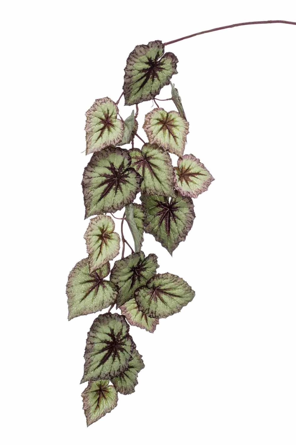 Begonia rex | Artificial Begonia Rex Spray Meira, Green-Violet, 4Ft/110Cm Artificial Plants Begonia rex