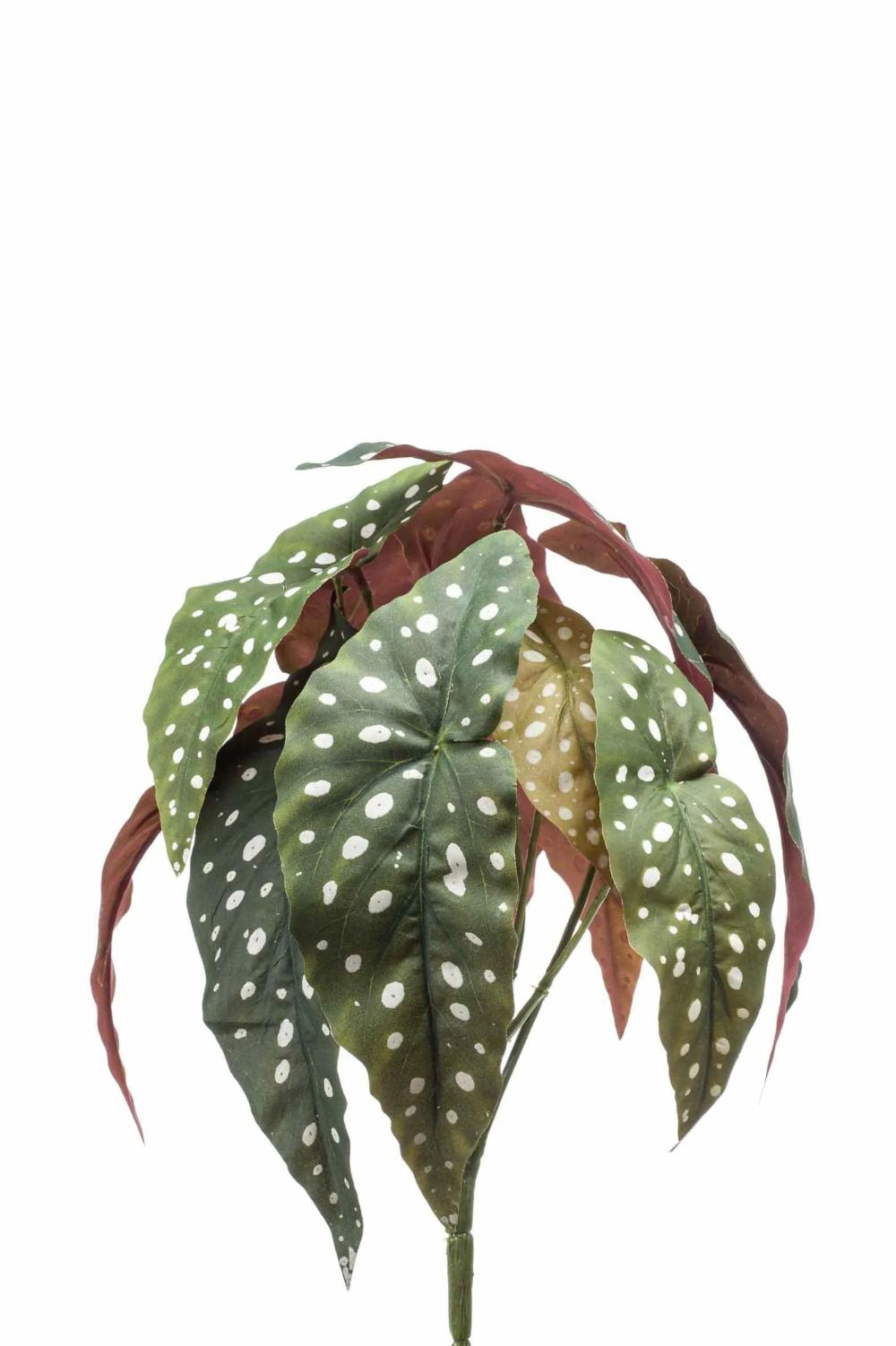 Begonia rex | Artificial Polka Dot Begonia Eliseia On Spike, Green-White, 12"/30Cm Artificial Plants Begonia rex