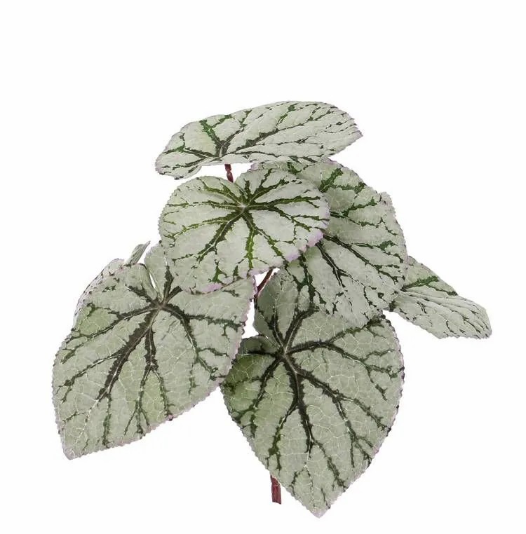 Begonia rex | Fake Begonia Rex Katrice On Spike, Green-Grey, 10"/25Cm Artificial Plants Begonia rex