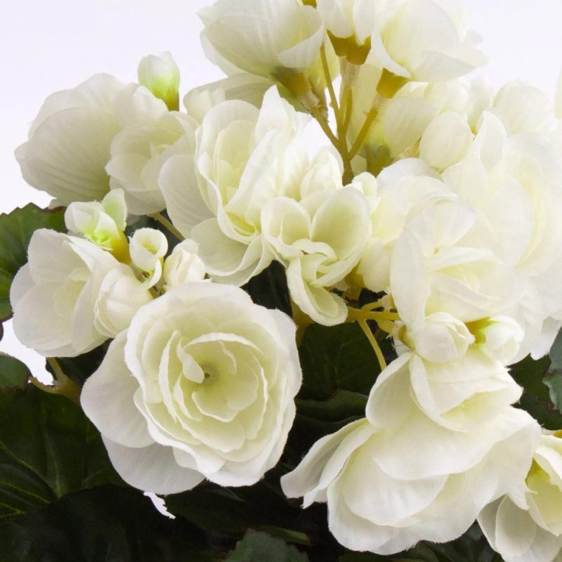 Begonia | Silk Begonia Ivana On Spike, Cream, 8"/20Cm, Ø1.2"-2"/3-5Cm Artificial Flowers Begonia