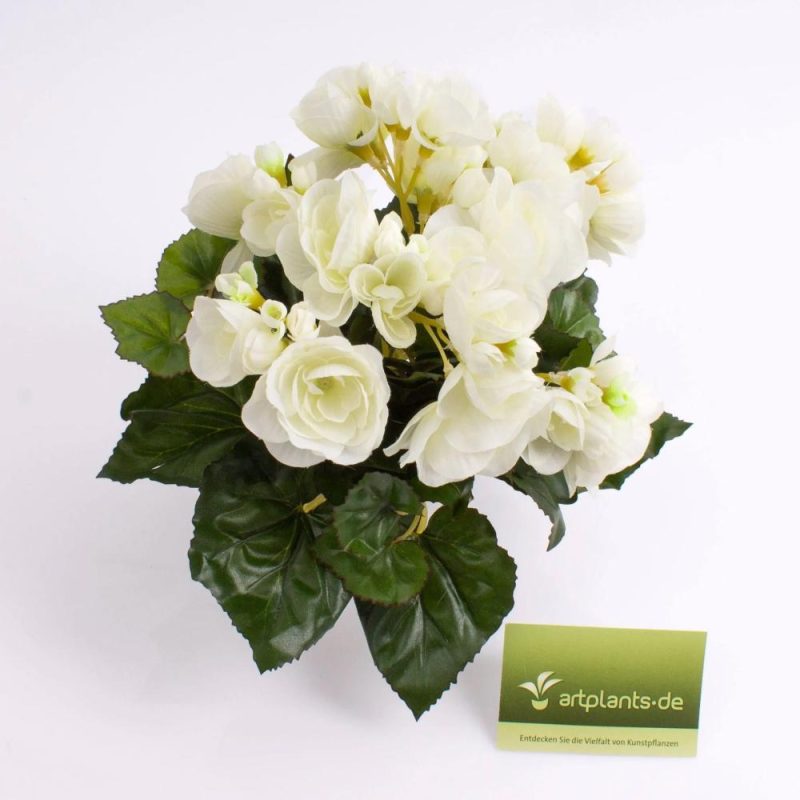 Begonia | Silk Begonia Ivana On Spike, Cream, 8"/20Cm, Ø1.2"-2"/3-5Cm Artificial Flowers Begonia