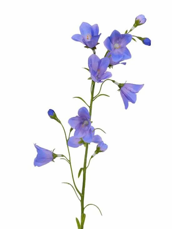 Bellflower | Artificial Bellflower Gisela, Blue, 26"/65Cm, Ø2"/5Cm Artificial Flowers Bellflower