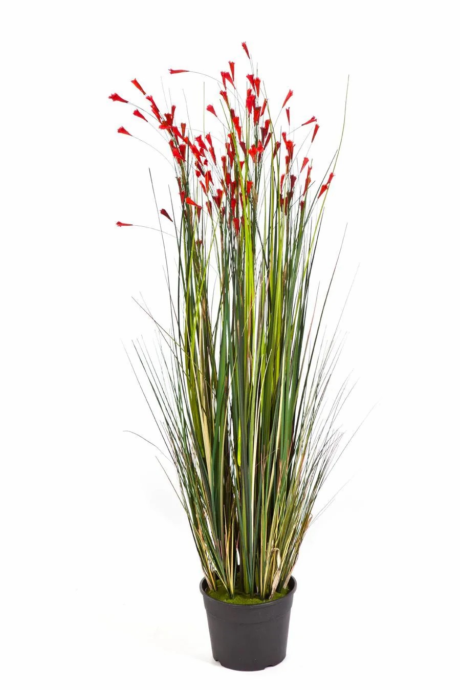 Bellflower | Artificial Bellflower Julia, Red, 4Ft/120Cm Artificial Flowers Bellflower