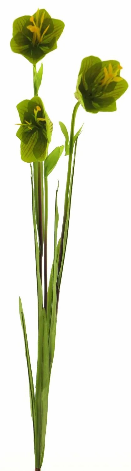 Bellflower | Artificial Bellflower Wenxin, Green, 31"/80Cm Artificial Flowers Bellflower