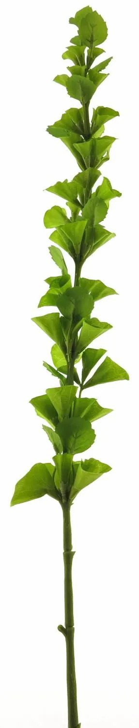 Bells of Ireland | Artificial Pistia Pinwan, Green, 3Ft/105Cm Artificial Flowers Bells of Ireland