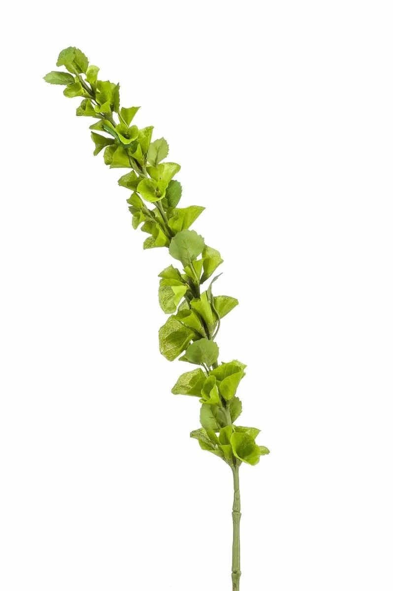 Bells of Ireland | Decorative Shellflower Soto, Green, 3Ft/105Cm Artificial Flowers Bells of Ireland