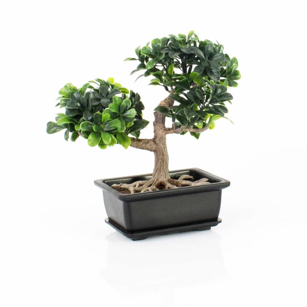 Bonsai trees | Artificial Bonsai Boxwood Justin, Aerial Roots, Decorative Bowl, 8"/20Cm Artificial Trees Bonsai trees