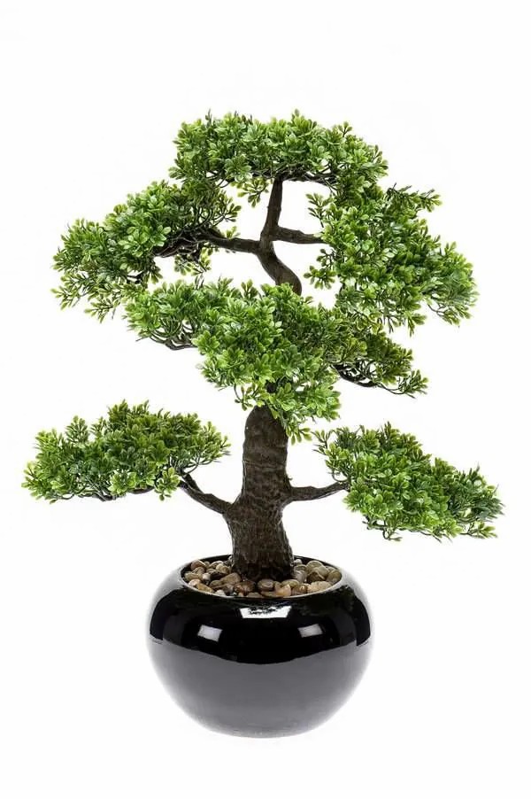 Bonsai trees | Artificial Bonsai Ficus Asher In Ceramic Pot, 18"/45Cm Artificial Trees Bonsai trees