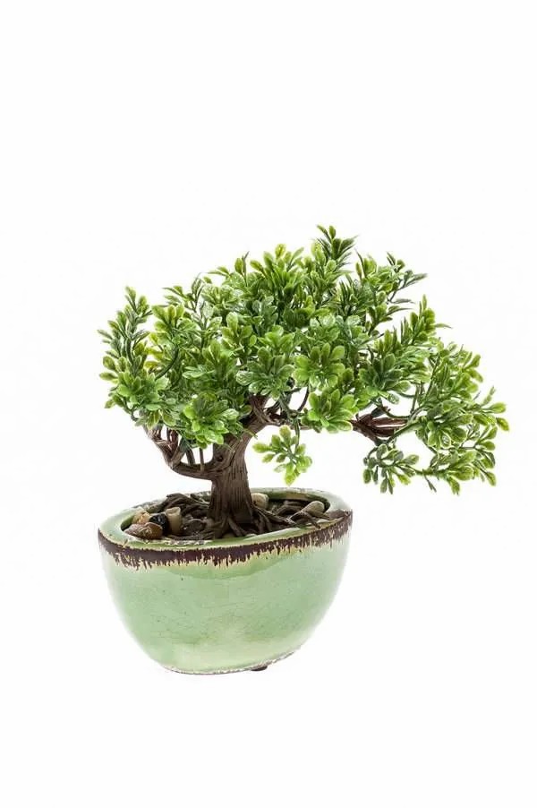 Bonsai trees | Artificial Bonsai Ficus Oriana In Ceramic Pot, 8"/20Cm Artificial Trees Bonsai trees