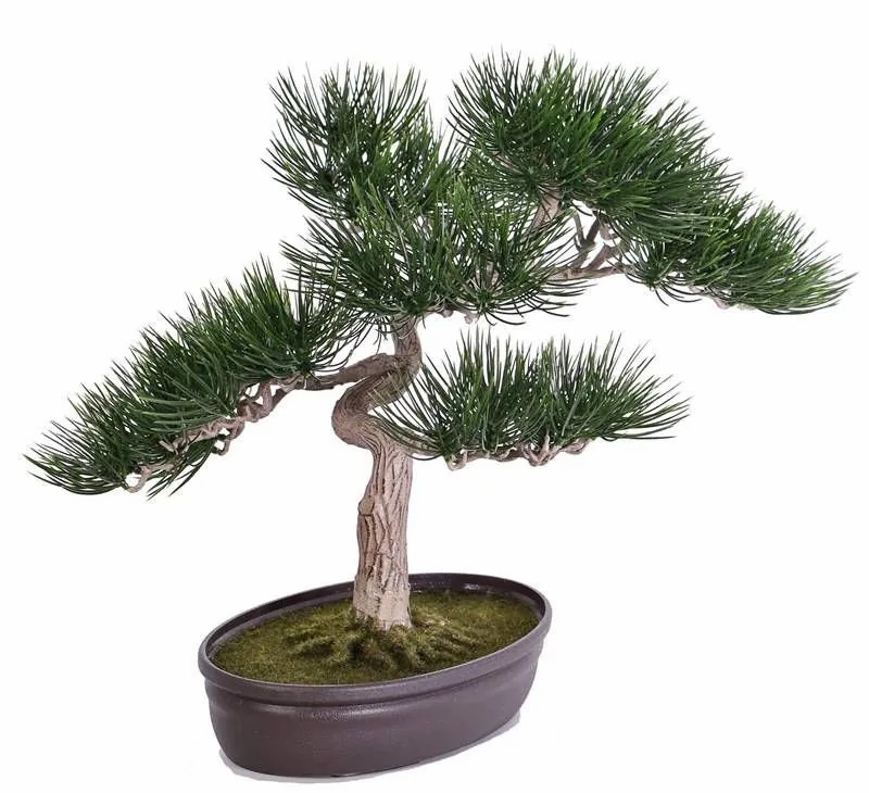 Bonsai trees | Plastic Bonsai Pine Arata, Aerial Roots, Decorative Planter, 18"/45Cm Artificial Trees Bonsai trees