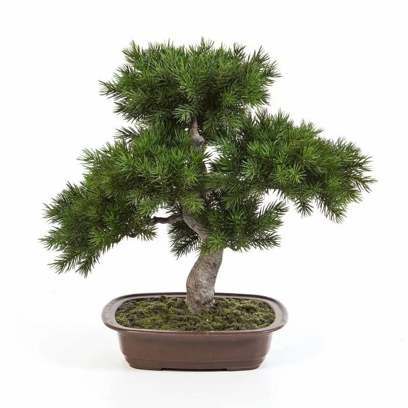 Bonsai trees | Plastic Bonsai Pine Selena, In A Bonsai Pot, Green, 20"/50Cm Artificial Trees Bonsai trees