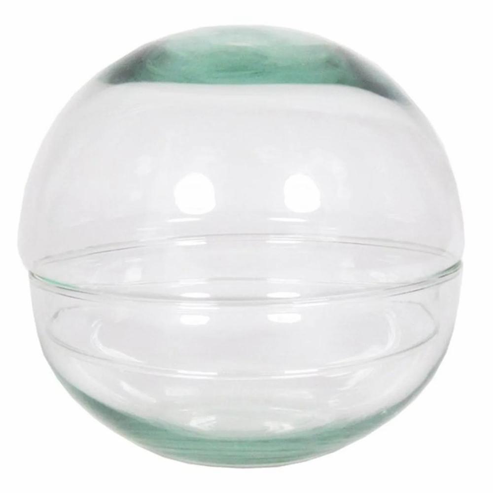 Bottle garden | Glass Succulent Terrarium Bryson, Ball, Clear, 4.7"/12Cm, Ø4.7"/12Cm Accessories Bottle garden