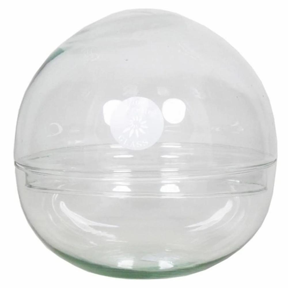 Bottle garden | Glass Succulent Terrarium Bryson, Ball, Clear, 8"/19,5Cm, Ø7.7"/19,5Cm Accessories Bottle garden