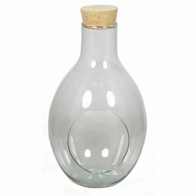 Bottle garden | Plant Terrarium Vinella Made Of Glass, Cork, Clear, 12"/31Cm, Ø7"/18Cm Accessories Bottle garden