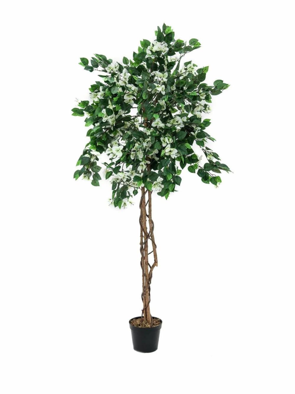 Bougainvillea | Artificial Bougainvillea Banu, Real Stems, Blooms, White, 5Ft/150Cm Artificial Trees Bougainvillea