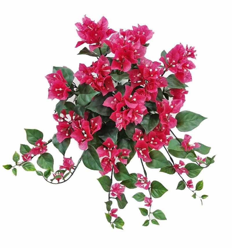 Bougainvillea | Artificial Bougainvillea Hanging Plant Jamilah On Spike, Crossdoor, Pink, 20"/50Cm Artificial Trees Bougainvillea