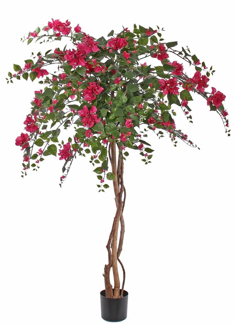 Bougainvillea | Artificial Bougainvillea Ofra, Real Stems, Flowers, Crossdoor, Pink, 6Ft/180Cm Artificial Trees Bougainvillea