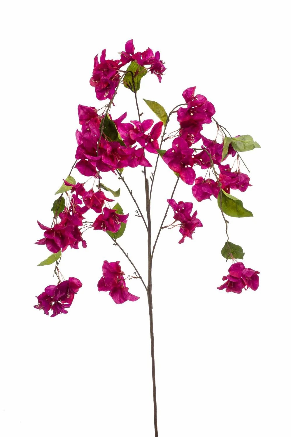 Bougainvillea | Faux Bougainvillea Spray Mikki With Blossoms, Fuchsia, 4Ft/120 Cm Artificial Trees Bougainvillea