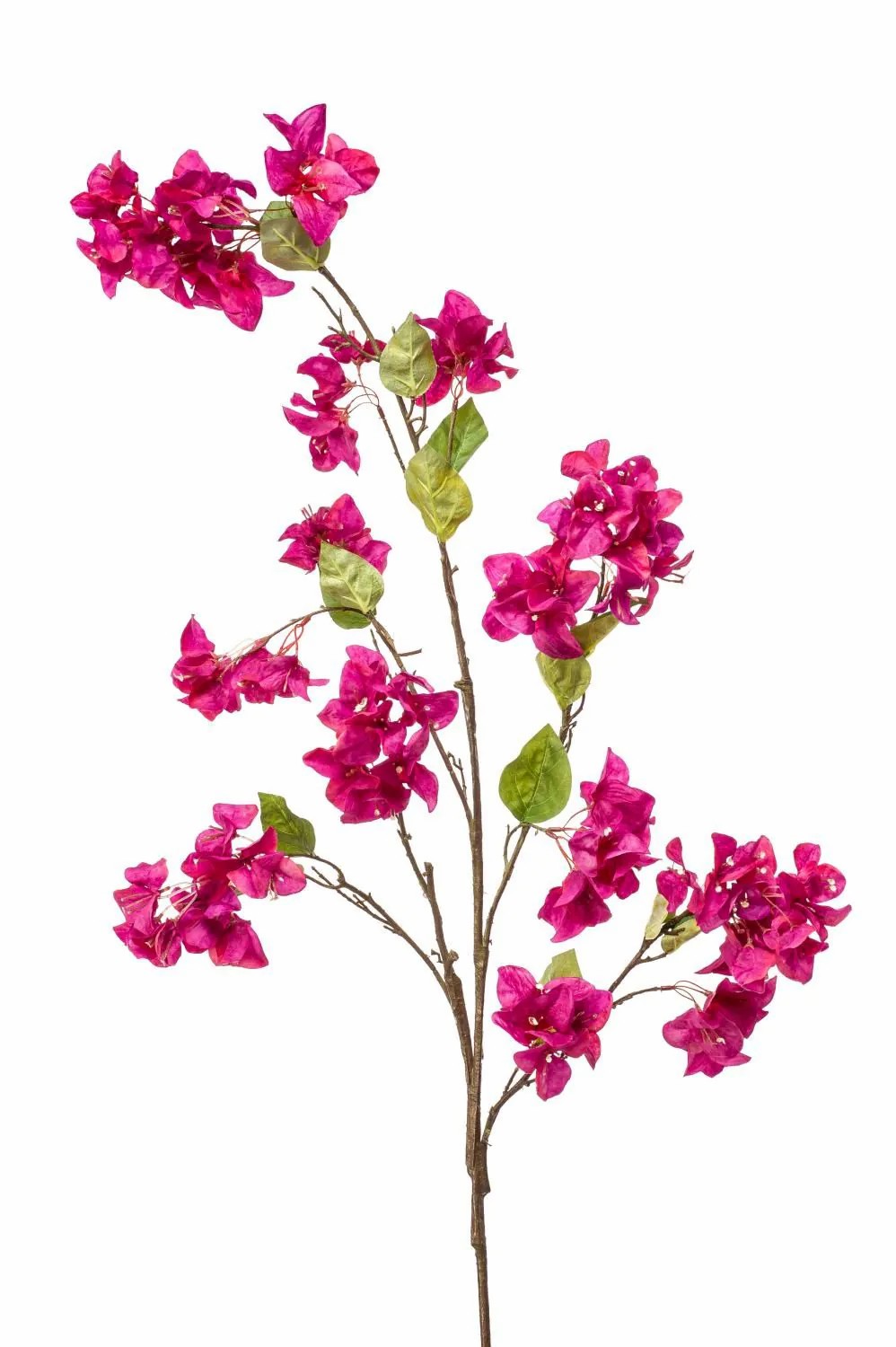 Bougainvillea | Faux Bougainvillea Spray Mikki With Blossoms, Fuchsia, 4Ft/130 Cm Artificial Trees Bougainvillea