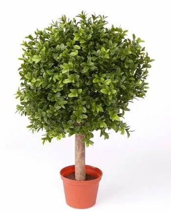 Boxwood | Artificial Boxwood Ball Tom, Natural Stem, Uv-Resistant, 14"/35Cm, Ø 10"/25Cm Artificial Trees Boxwood