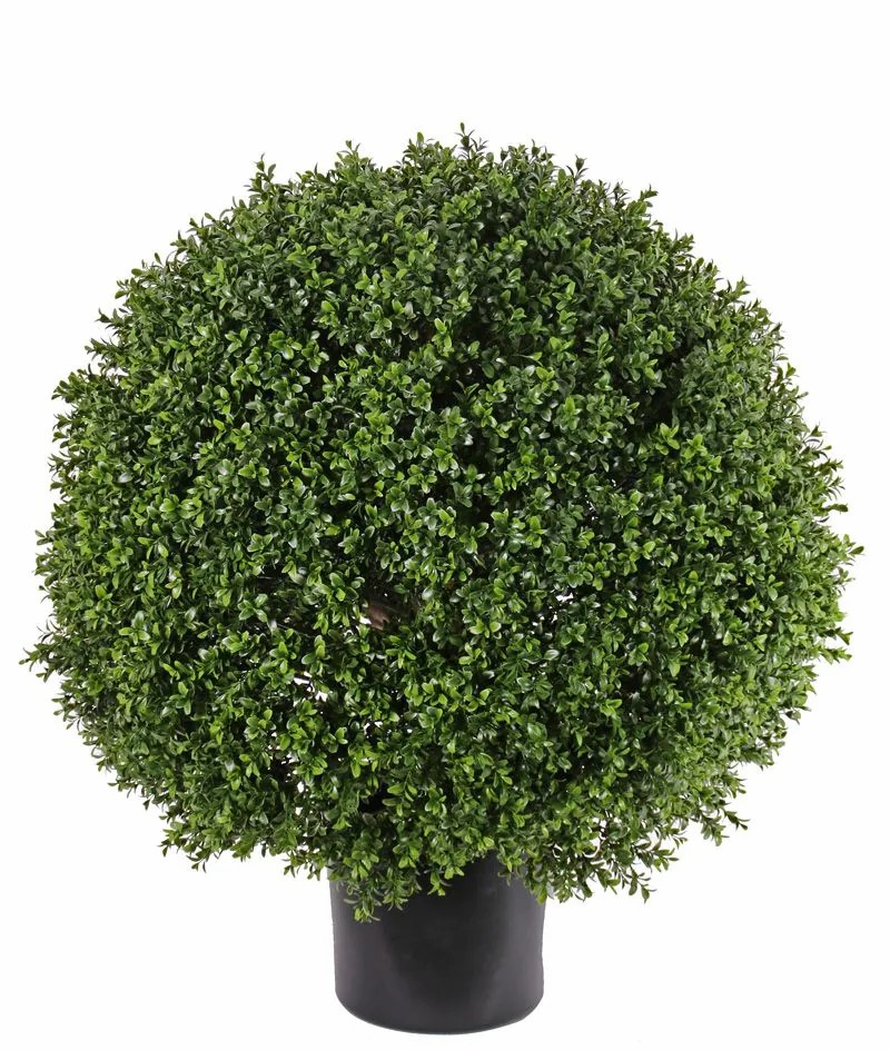 Boxwood | Artificial Boxwood Tom, Real Trunk, Crossdoor, 3Ft/95Cm, Ø31"/80Cm Artificial Trees Boxwood