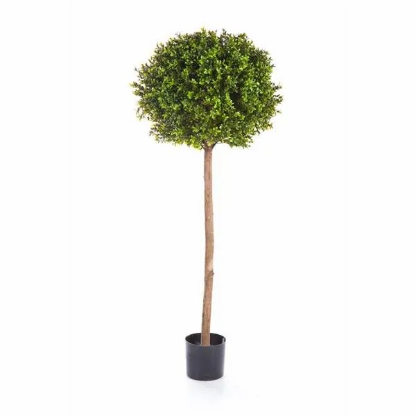 Boxwood | Artificial Boxwood Tree Tom, Real Stem, 5Ft/140Cm, Ø 20"/50Cm Artificial Trees Boxwood