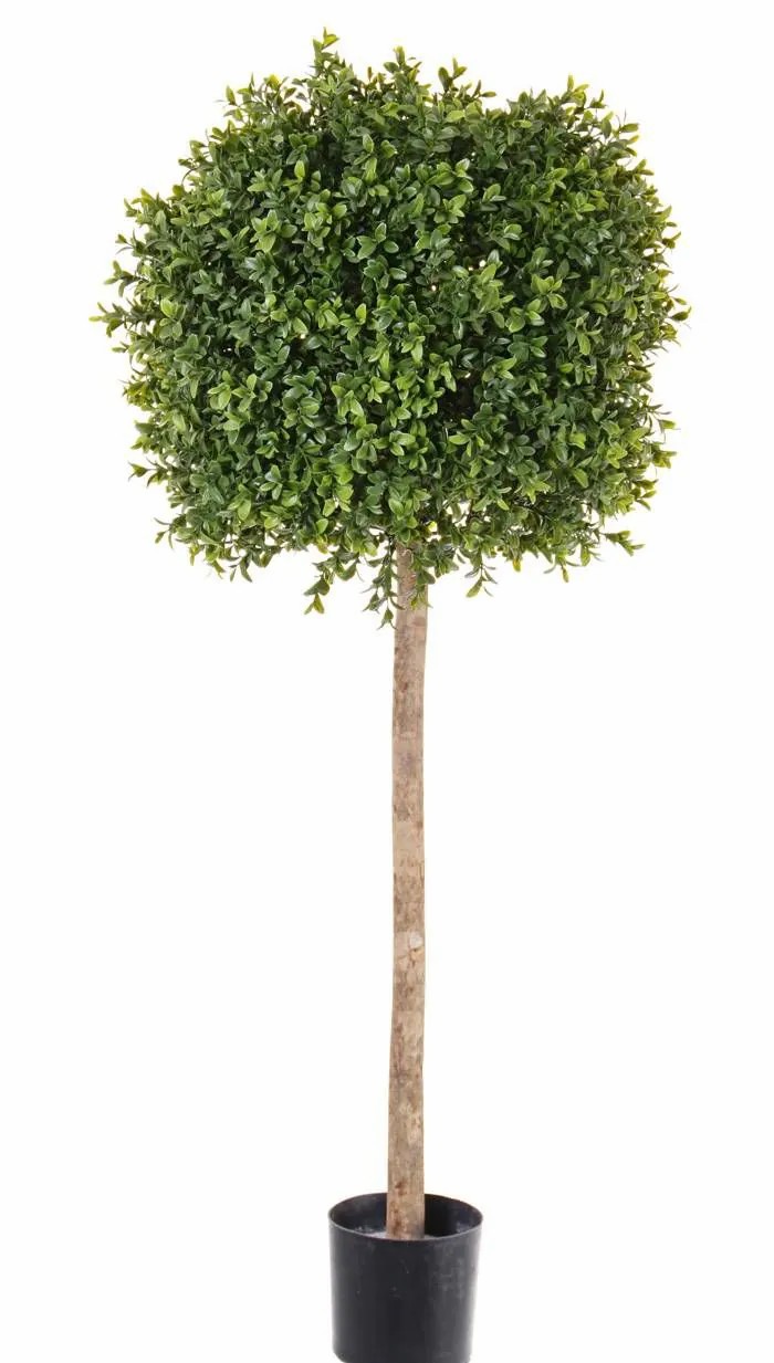 Boxwood | Fake Boxwood Thoris, Natural Trunk, 3Ft/105Cm, Ø16"/40Cm Artificial Trees Boxwood