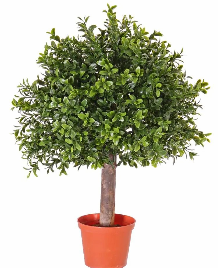 Boxwood | Fake Boxwood Tom, Natural Trunk, Crossdoor, 18"/45Cm, Ø12"/30Cm Artificial Trees Boxwood