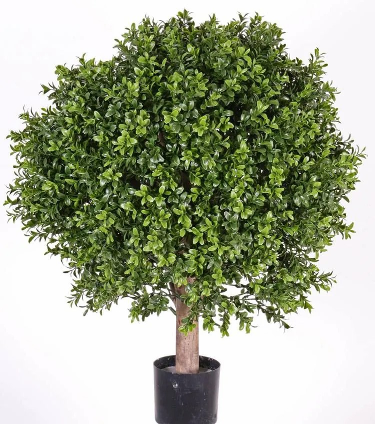 Boxwood | Fake Boxwood Tom, Natural Trunk, Crossdoor, 26"/65Cm, Ø20"/50Cm Artificial Trees Boxwood