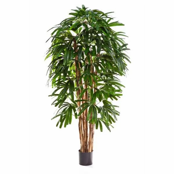 Broadleaf lady palm | Artificial Broadleaf Lady Palm Nathaniel, 4Ft/120Cm Artificial Palms Broadleaf lady palm