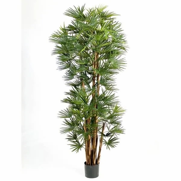 Broadleaf lady palm | Artificial Broadleaf Lady Palm Serena, 6Ft/180Cm Artificial Palms Broadleaf lady palm