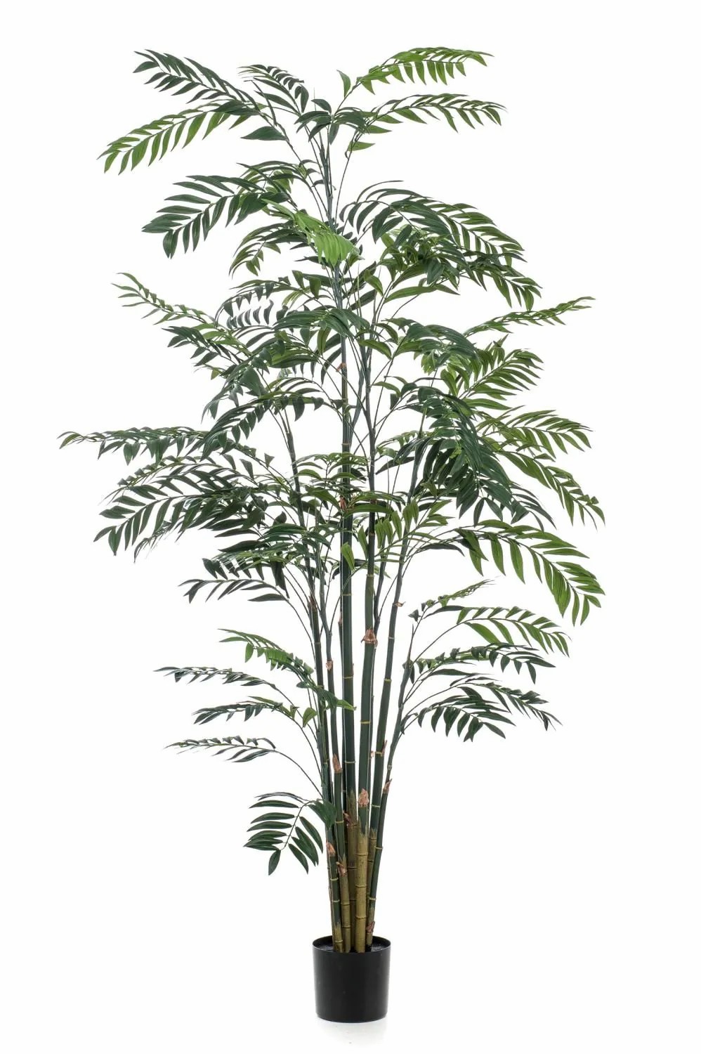 Broadleaf lady palm | Decorative Bamboo Palm Meriel, 8Ft/245Cm Artificial Palms Broadleaf lady palm