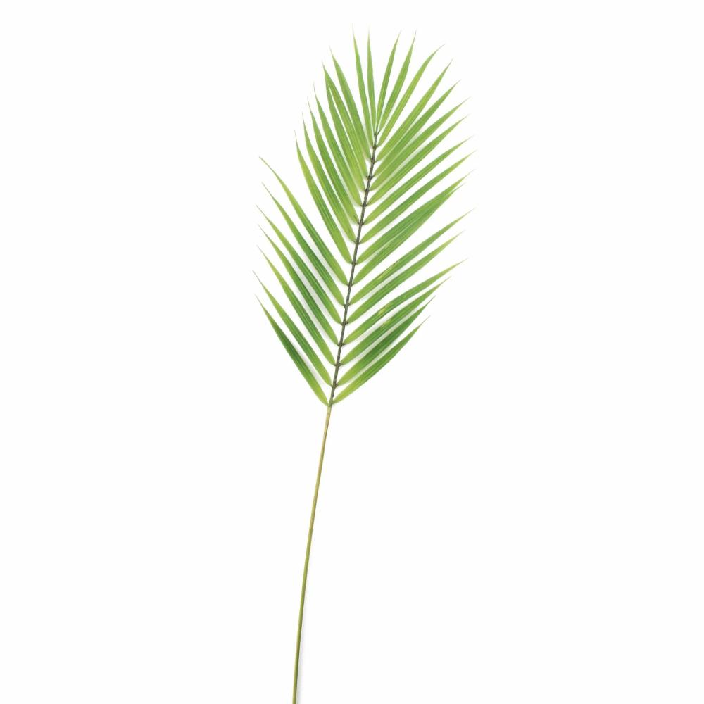 Broadleaf lady palm | Fake Bamboo Palm Frond Emilio, 30"/75Cm Artificial Palms Broadleaf lady palm