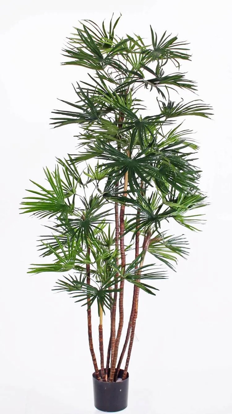 Broadleaf lady palm | Fake Rhapis Garret, Crossdoor, 5Ft/160Cm Artificial Palms Broadleaf lady palm