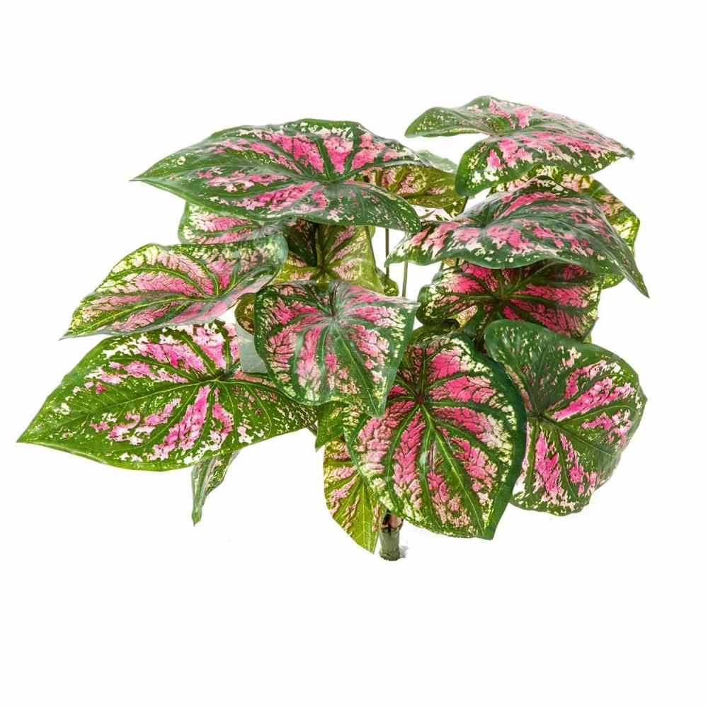 Caladium | Artificial Caladium Becrux On Spike, Green-Pink, 14"/35Cm Artificial Plants Caladium