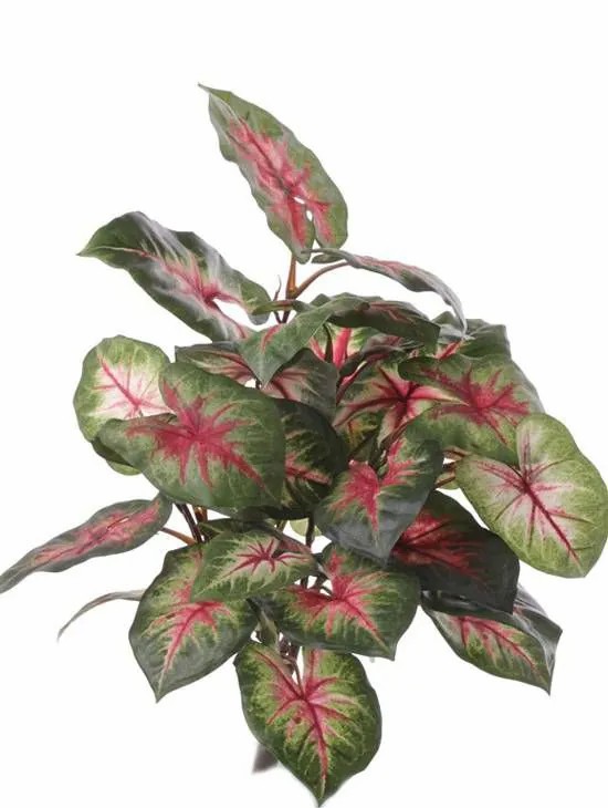 Caladium | Fake Caladium Severin On Spike, Green-Red, 16"/40Cm Artificial Plants Caladium