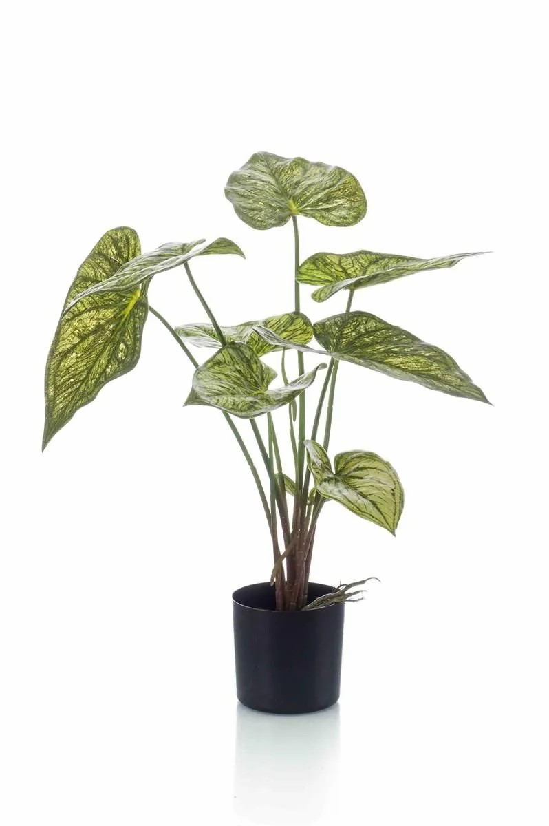 Caladium | False Caladium Yawar With Roots, Green-Yellow, 24"/60Cm Artificial Plants Caladium