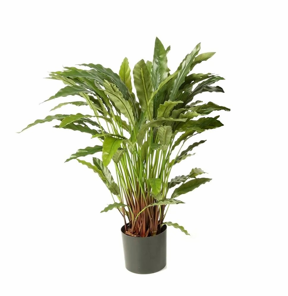 Calathea | Artificial Calathea Bahati, Small, Green, 33"/85Cm Artificial Plants Calathea