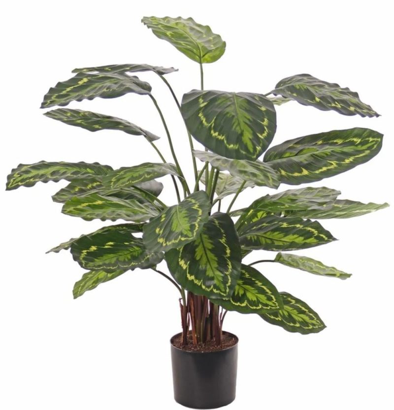 Calathea | Artificial Calathea Medallion Kumara, Green, 30"/75Cm Artificial Plants Calathea